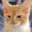 3e