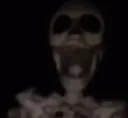 skeletonspin
