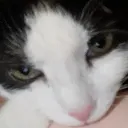 emoji_125