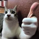THUMBSUP