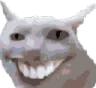 catSmile