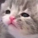 why
