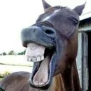 Muahahaha muahahaha Discord Emoji