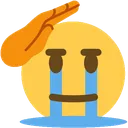 cryingsalute cryingsalute