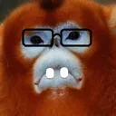 snubnerd