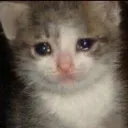 emoji_22