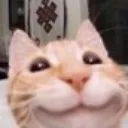 ML_cat_smile