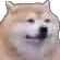 bruh