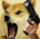 angrydogewithagundogmeme