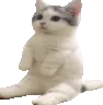 firecat