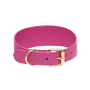 collarofswedenhotpinkcollarlarge