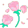 PinkRosess