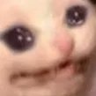 cryingcat