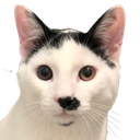 Alfie Discord emoji