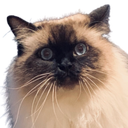Maxx Discord emoji
