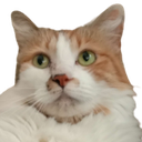 Missy Discord emoji