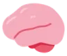 smooth_brain