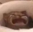 cryn