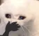 sad