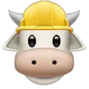 3560udderconstruction