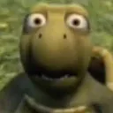whatthehell whatthehell