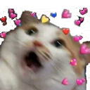memecatfear Discord emoji