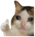 RG_SadCatThumbsup Discord Emoji