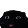 Blep Blep