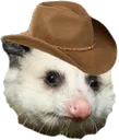 cowpossum