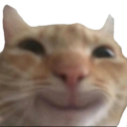 SwagCatSmile Discord emoji