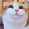 CIX3face CIX3face