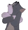 EH_Tomplotting