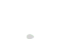 raccohheyyoink