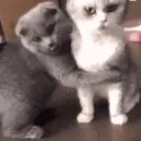Hug