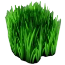 MB_fresh_grass