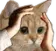 catstressed catstressed