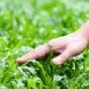 touchgrass