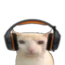 bruhcatgamer