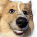 :butt_sniffa: :butt_sniffa: