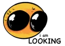 Looking