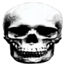 GoofySkull