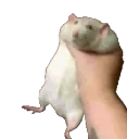 Ratshake