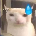 sweating