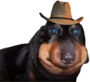 Ermftcowboyhat Ermftcowboyhat