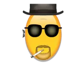 WalterWhite