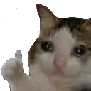 sadcat sadcat