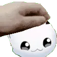 popoi_pat popoi_pat