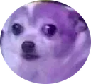 nervouspurple