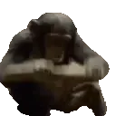 MODS MODS