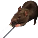 EH_vapingrat